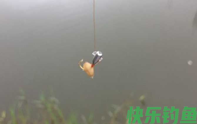 麦粒