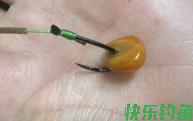 玉米