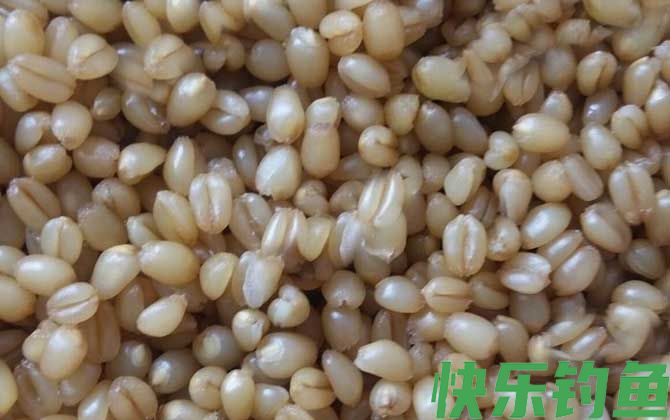 麦粒