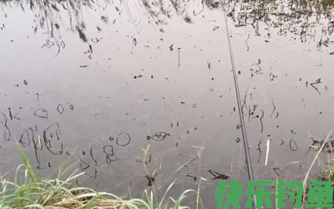 传统钓
