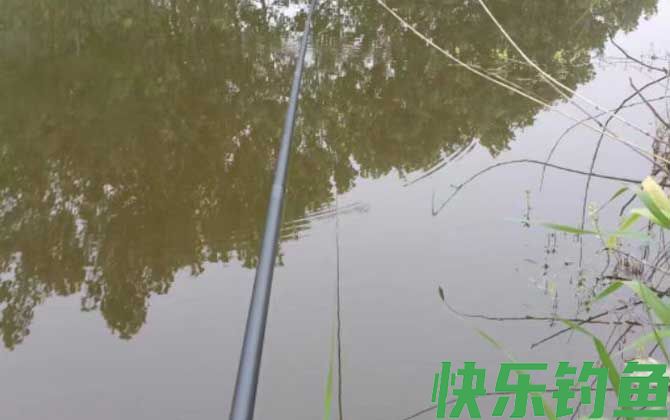 春季钓鱼