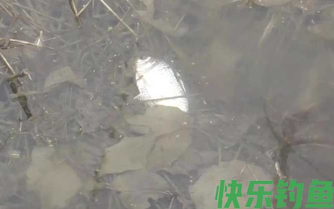 野钓