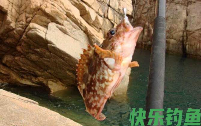 海钓